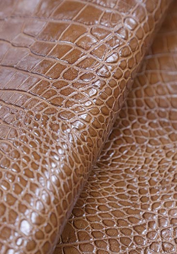 Parapher mon Renouard