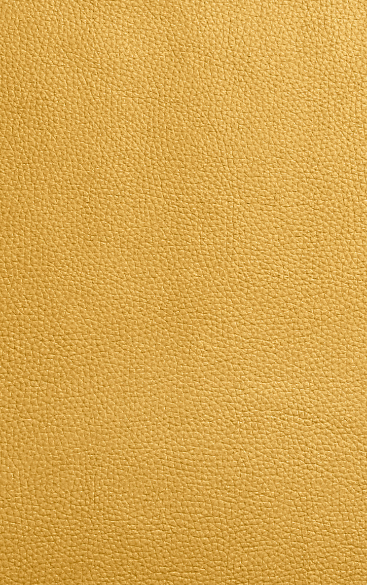 Marine - Vigogne style